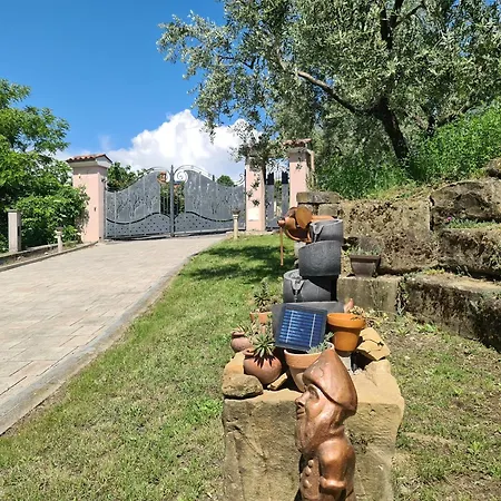 Alloro *