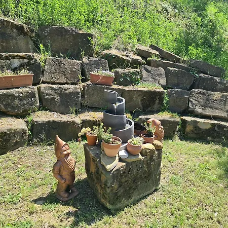 Alloro Ankaran